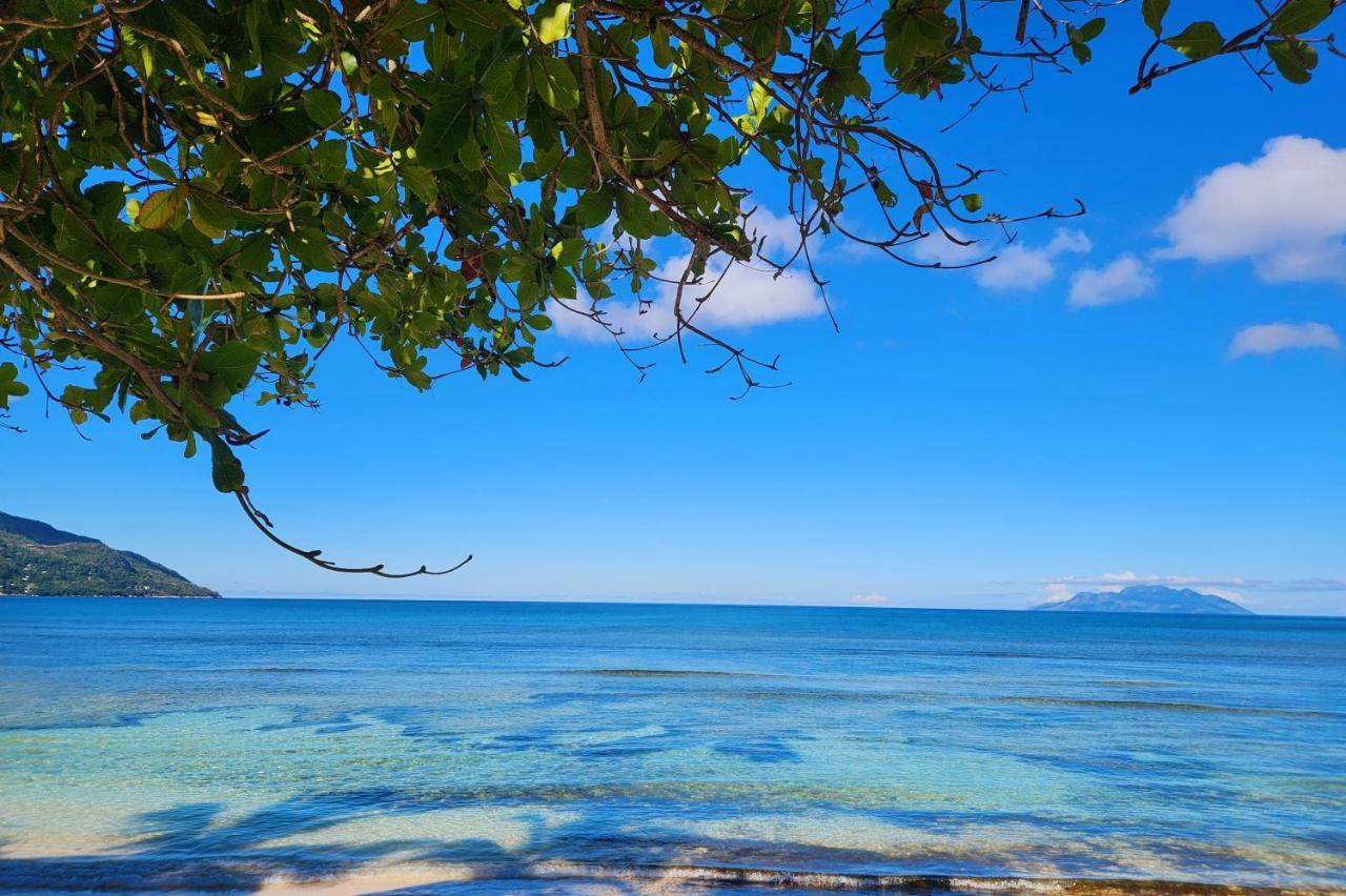 Kaz Memel * Beau Vallon (Mahe)