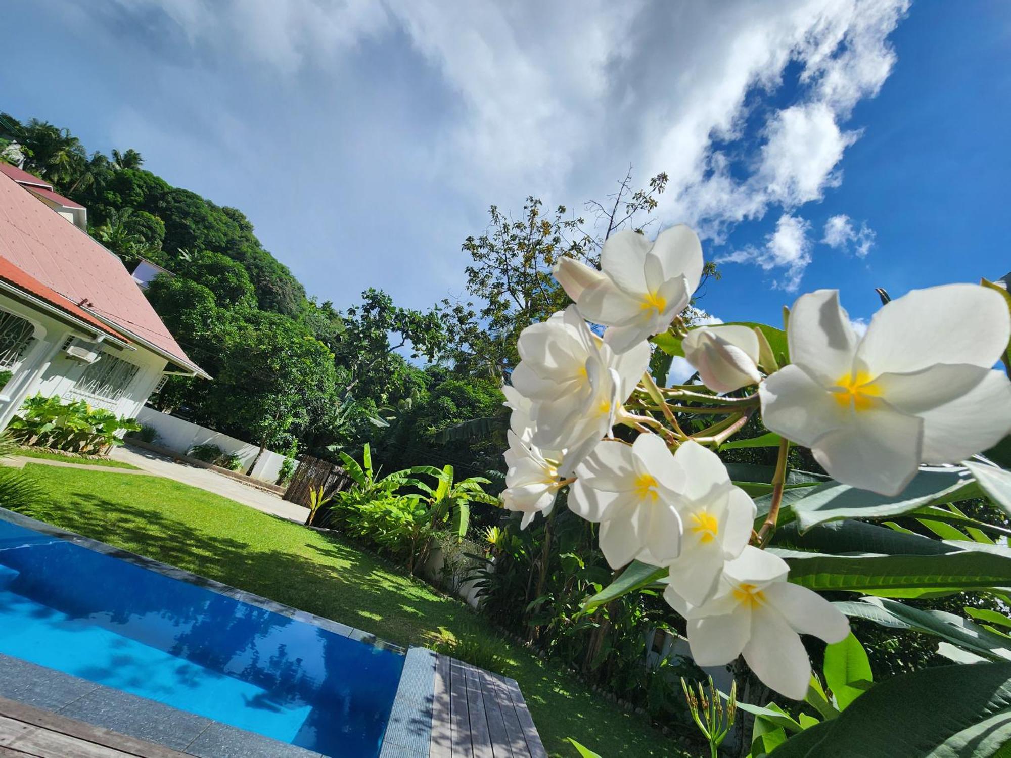 Kaz Memel Villa *
